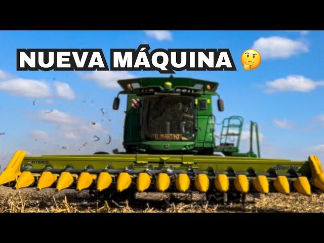 COSECHANDO MAIZ por PRIMER VEZ en OTRA MAQUINA, me ASUSTE - Suarez Nico