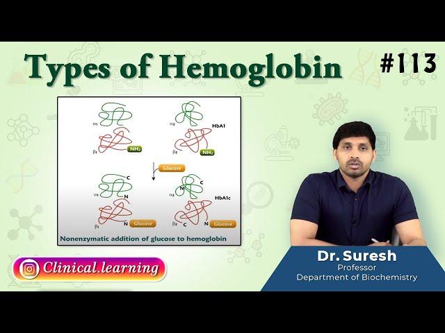 113. Types of Hemoglobin