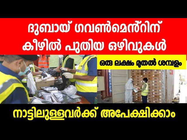 New dubai government jobs 2025/ Dubai jobs today| urgent jobs \ Dubai job vacancy Malayalam/