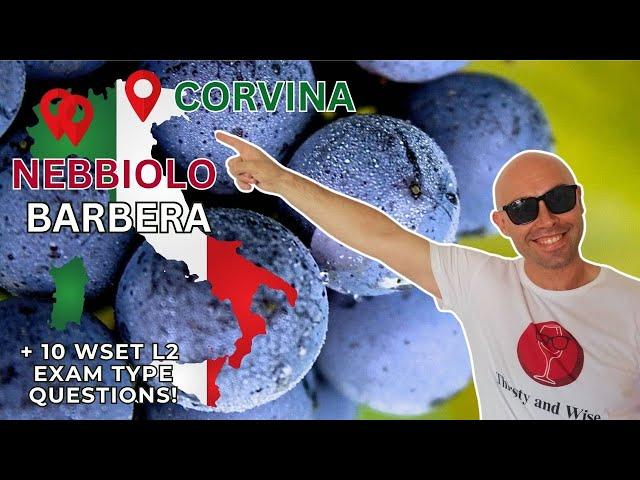 Nebbiolo, Barbera, Corvina: North Italy wines for WSET Level 2 in Wines (+10 WSET exam question)