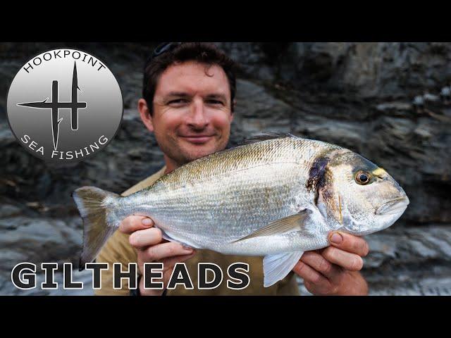 Open Coast Fishing for Gilthead Bream with Ben Conway