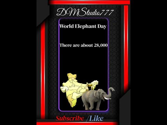#world elephant day#Save the Elephants#dmstudio