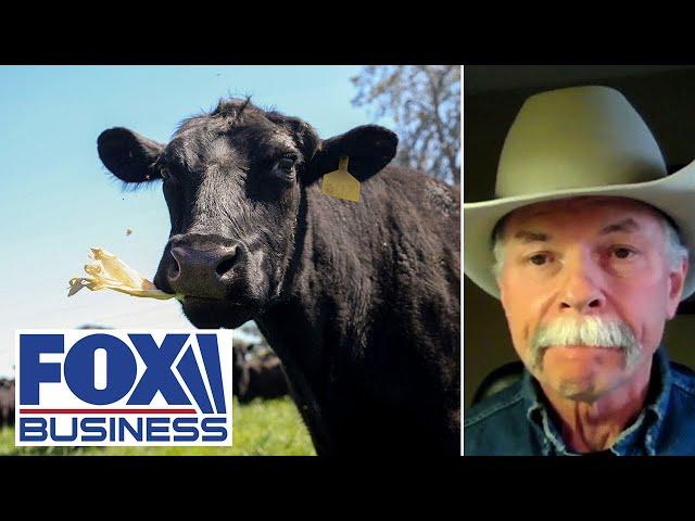 This is hollowing out rural communities across America, cattle industry expert warns
