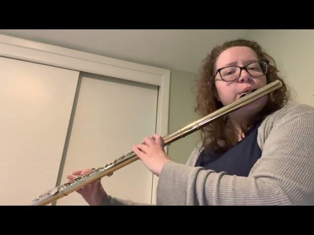 Sofia Carson - Come Back Home - Alto Flute Cover - Hannah Haefele