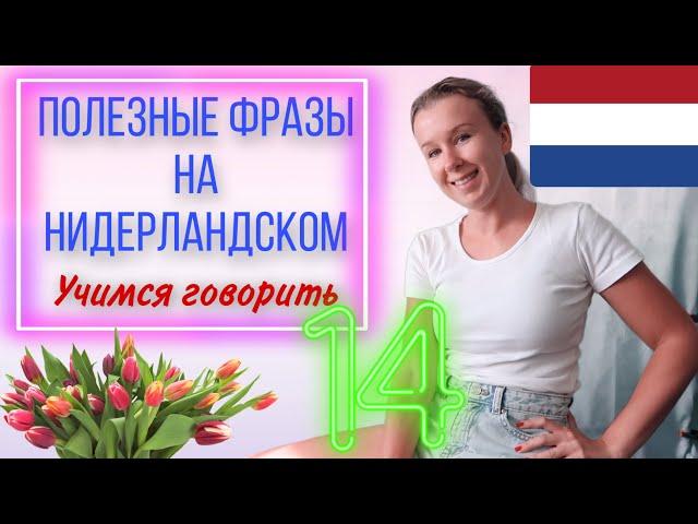 Учимся говорить на нидерландском языке. Поход за покупками. Урок 14