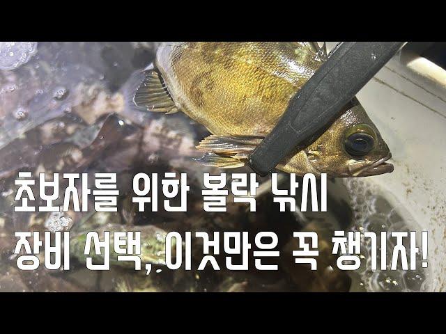 초보자를 위한 볼락 낚시 장비 선택, 이것만은 꼭 챙기자!