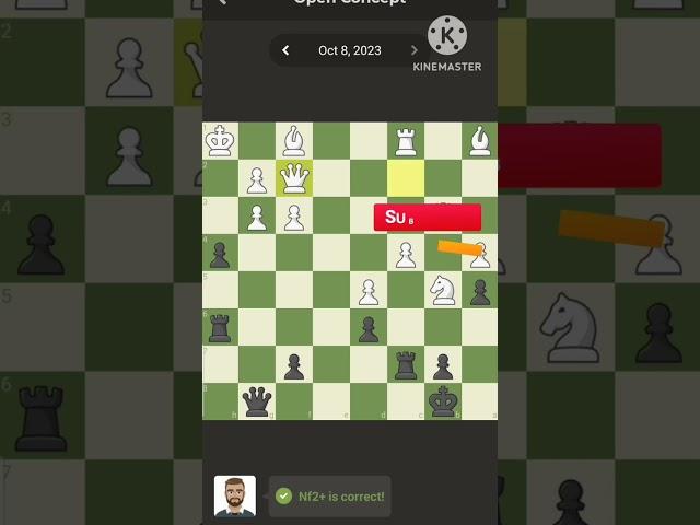 TN - Chess Puzzles|08.10.23