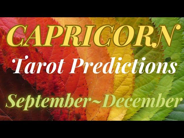 CAPRICORN Tarot~4 Month Predictions~ September—December 2024️