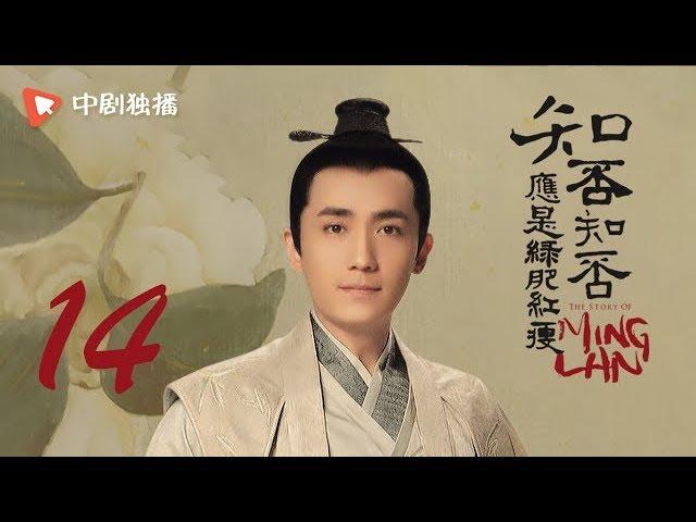 知否知否应是绿肥红瘦 14 |  MingLan 14（赵丽颖、冯绍峰、朱一龙 领衔主演）