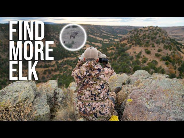 Find More Elk! | Late Season Glassing Tips