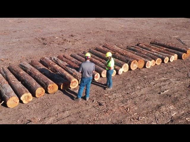 A Johnson Lumber Company Recruitment "Opportunity"