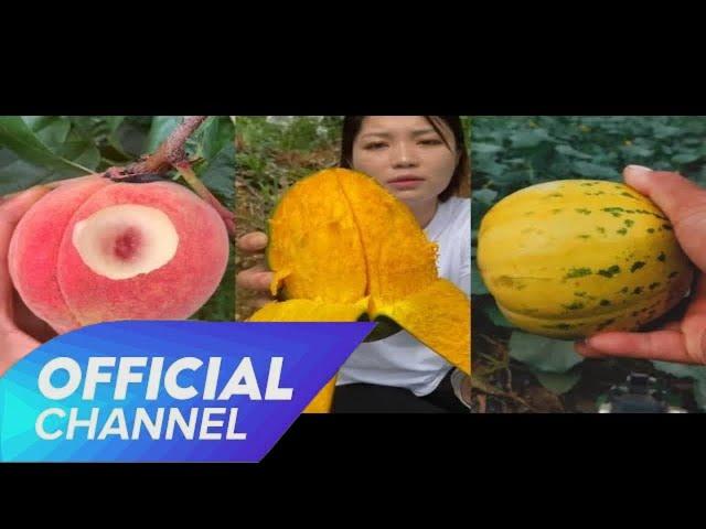 Fruit and vegetable gardens in China ─ Eat at the extreme garden (Part 1)