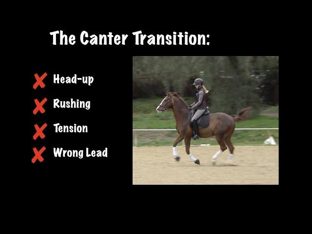 The Canter Transition: How to Fix a Horse that Rushes, Puts their Head up and Gets Tense!