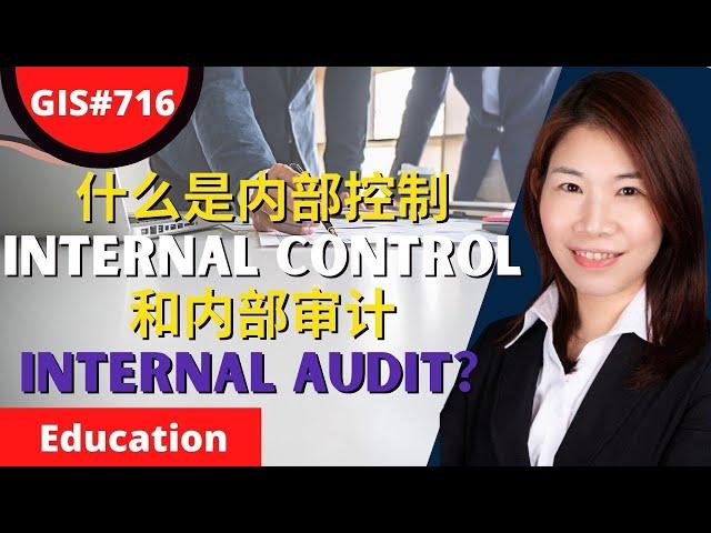 什么是内部控制Internal Control和内部审计Internal Audit？| GIS#716