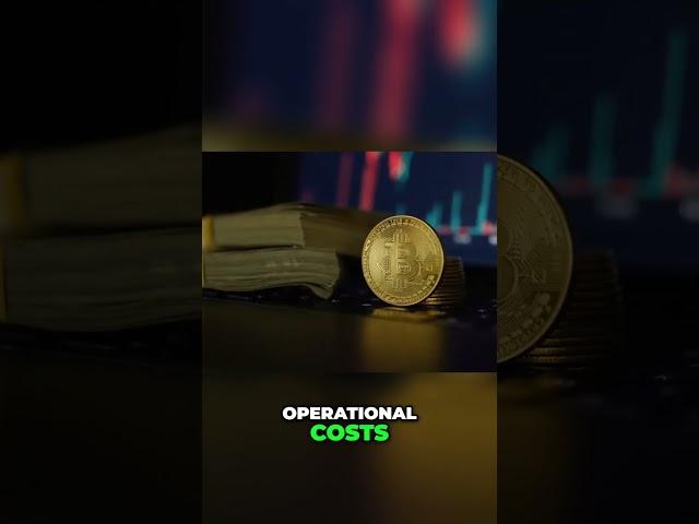 Bitcoin Miners Holding: Textbook Supply Shock Coming?