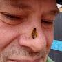 @MinnesotaBeekeeper