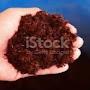 @agriculturkh