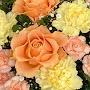 @may9849