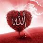 @ardaarda4307