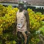 @dennisokumu3759
