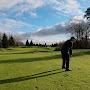 @Avan-Golf