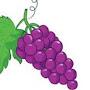 @grape1044
