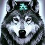 @armin7a500