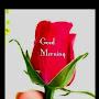 @AkhileshSingh-b3o