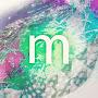 @matthew-gn4qd