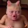 @MoggedMariot