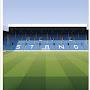 @leedsunitedfanzone7345