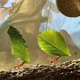 @stealthquil1sants870