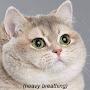 @christiangodoy5169