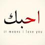 @MohammadSharulMizwanMdSalleh