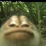 @saonguye