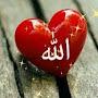 @yaallah1189