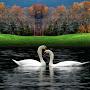 @rajeshyanumula2865