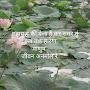 @jesrajpanchariya1395