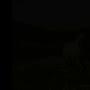 @user-kc2bs8di7v