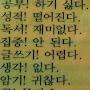 @hamaforest2323