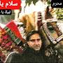@amirabbaszulfiqar6229