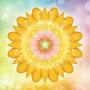 @nathalieabed-werner9951