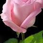 @naskar1232