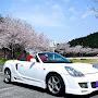 @m.8571yama