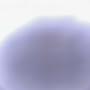 @MrPranker1