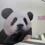 @busan1492
