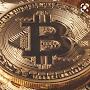 @crypto_pinto2660