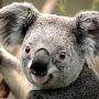 @RicaAnnQebz1080