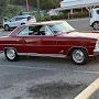 @mikemaguire5507