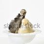 @bowl-of-chicken-soup7107